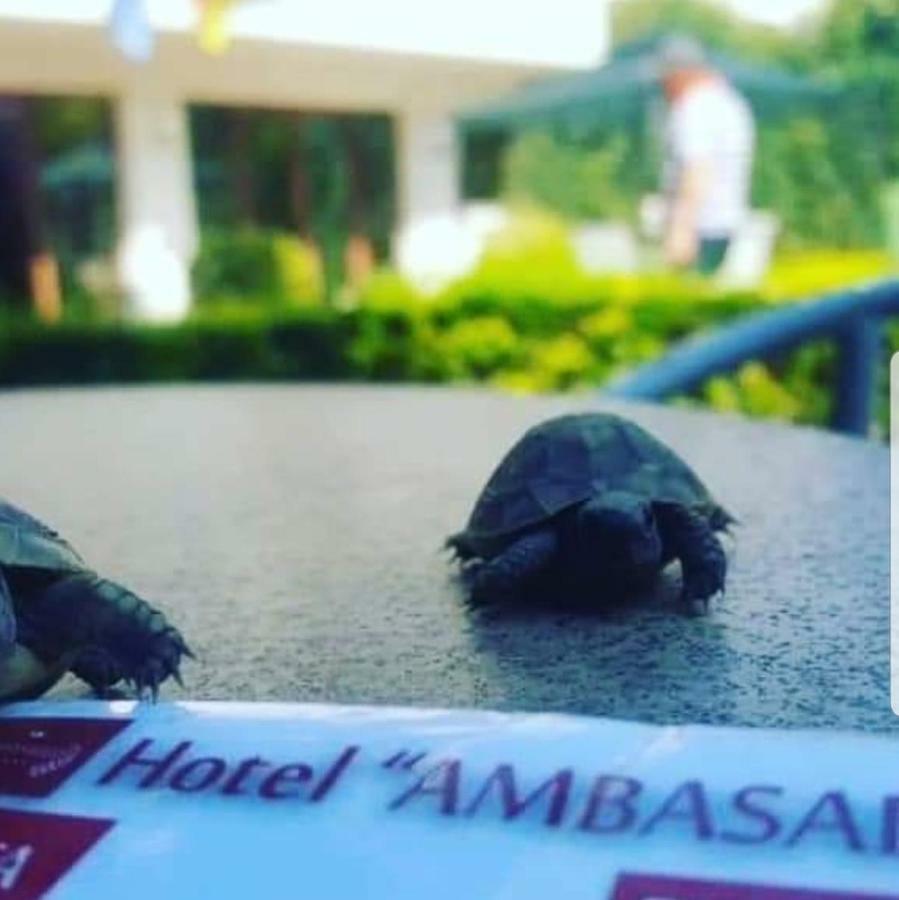 Hotel Ambasador Garden Lezha Kültér fotó
